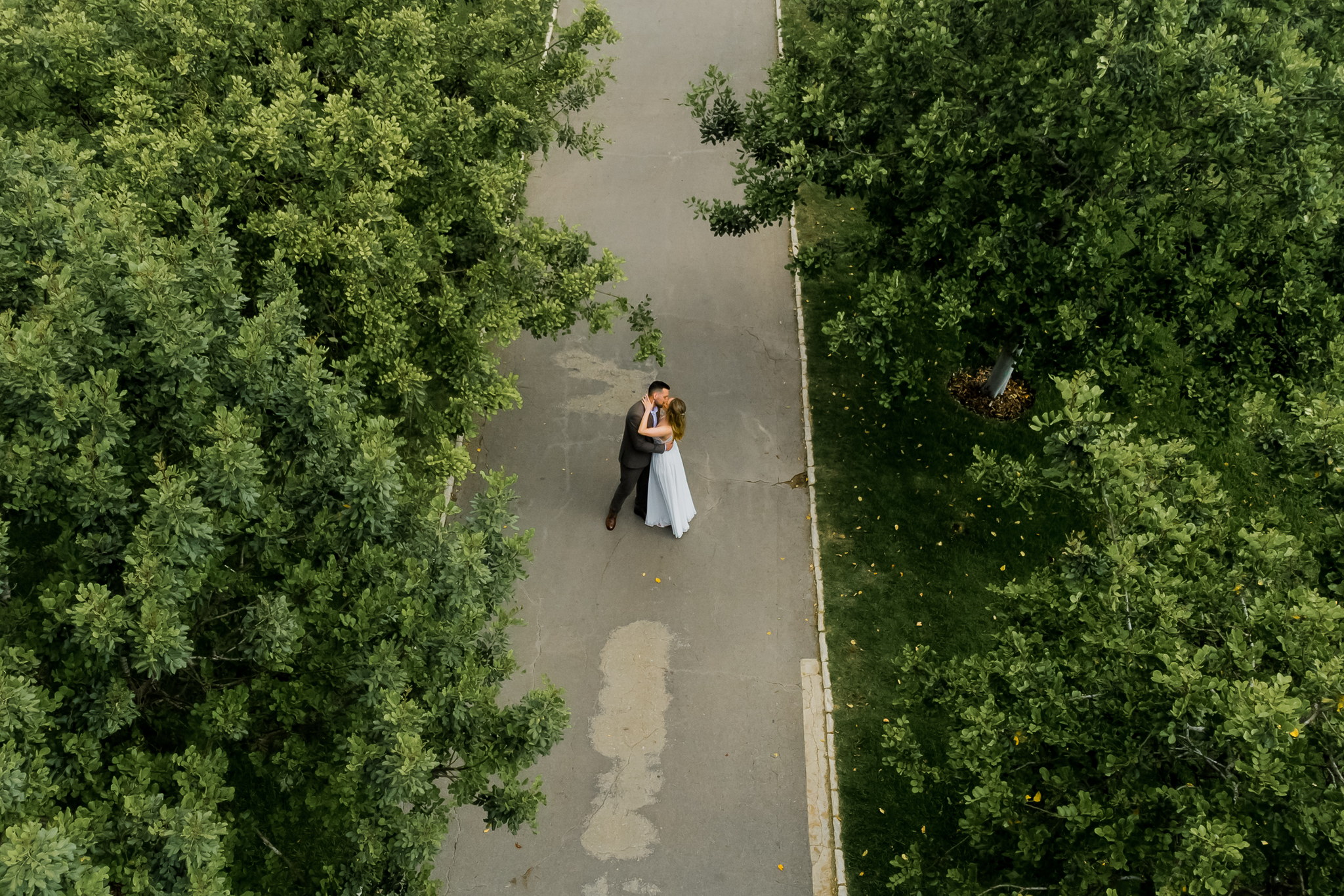 An aerial view shows a romantic couple embracing and kissing on a grey paved path, surrounded by dense, vibrant green trees and grass with scattered yellow leaves. The man is dressed in a dark suit, and the woman wears a flowing pale blue dress.